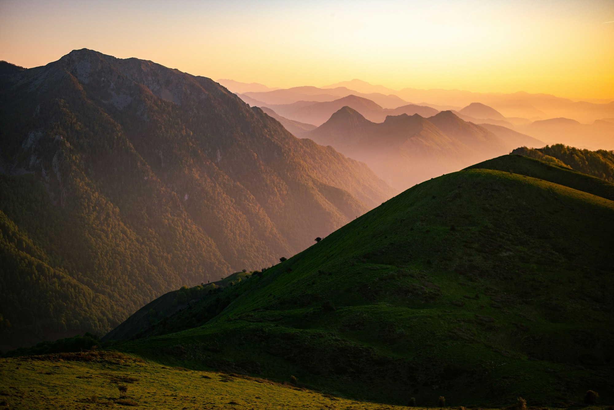 Un appel à la vigilance après une tentative de piratage sur l’office de tourisme des Pyrénées ariégeoises